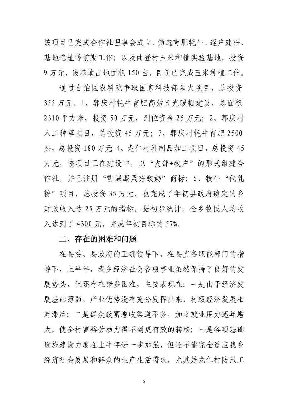 当雄县龙仁乡上半年经济发展情况及下半年经济发展计划.doc_第5页