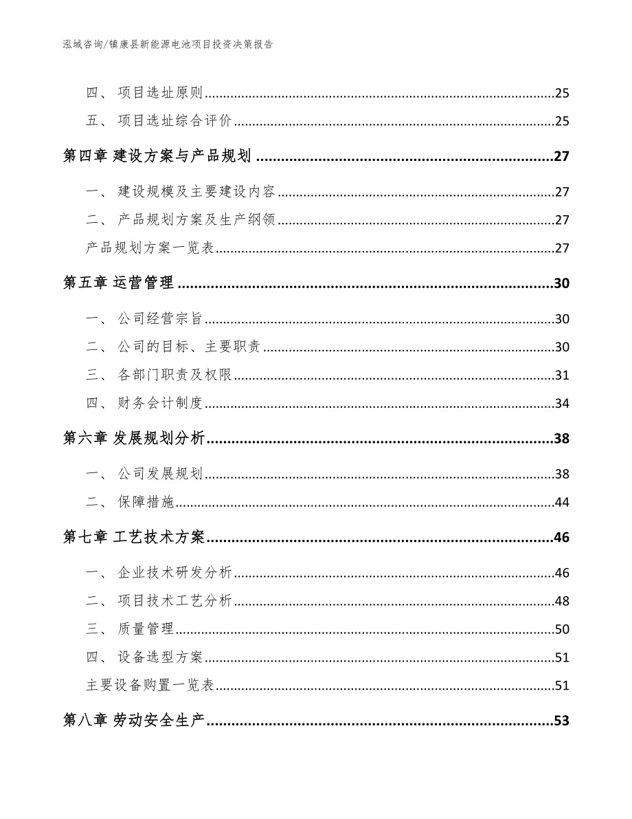 镇康县新能源电池项目投资决策报告_第3页