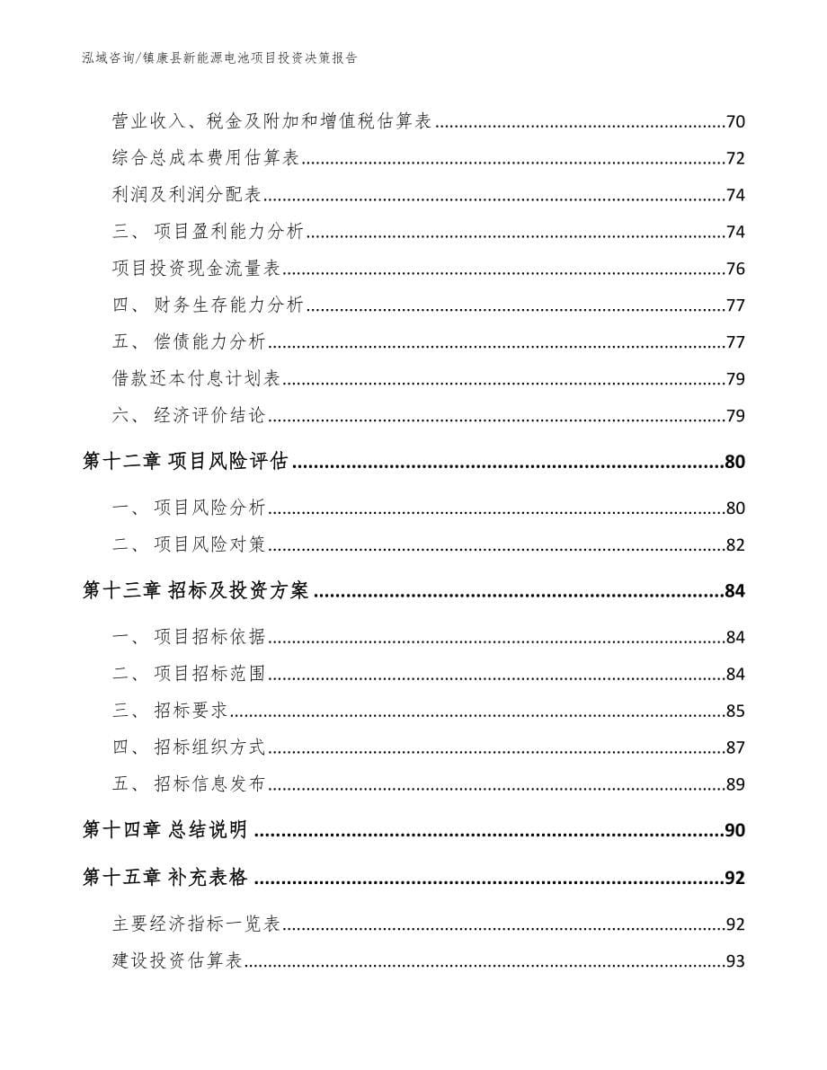 镇康县新能源电池项目投资决策报告_第5页