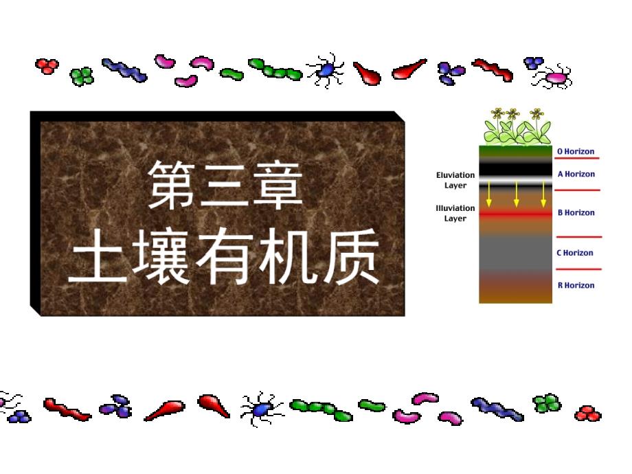 土壤学第三章土壤有机质_第1页