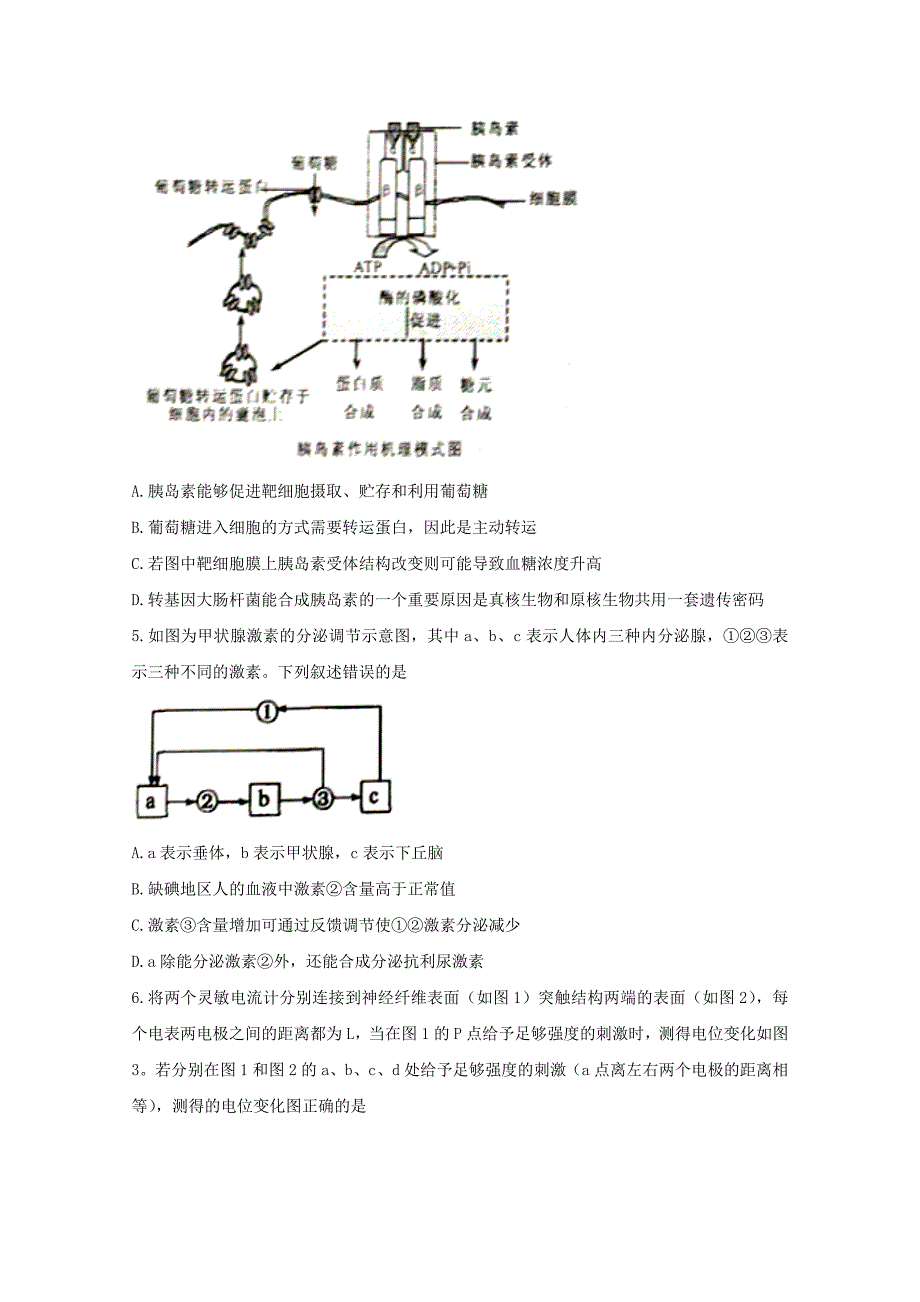 2022-2020学年高二生物10月月考试题 (II)_第2页