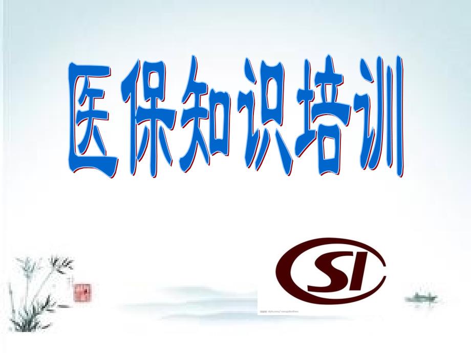 北京市医保知识培训_第1页