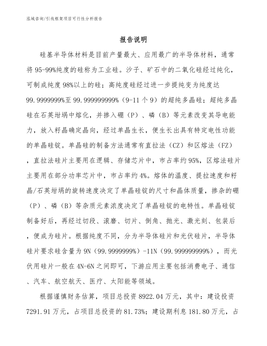 引线框架项目可行性分析报告_模板范本_第2页