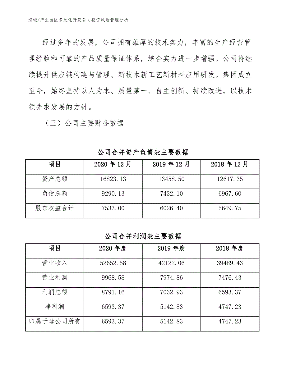 产业园区多元化开发公司投资风险管理分析_第4页