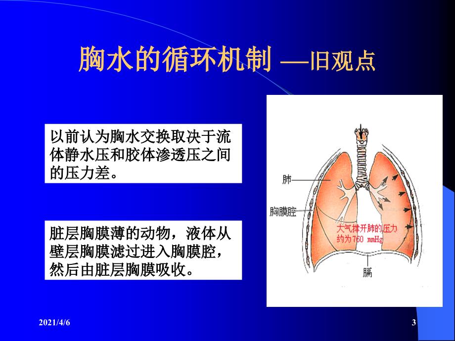 胸腔积液的诊断和鉴别诊断及结核性胸膜炎的治疗科室讲座文档资料_第3页