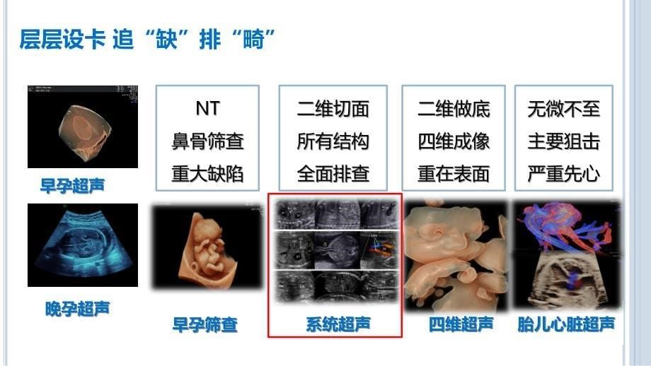 产前超声医学科普演讲课件_第5页