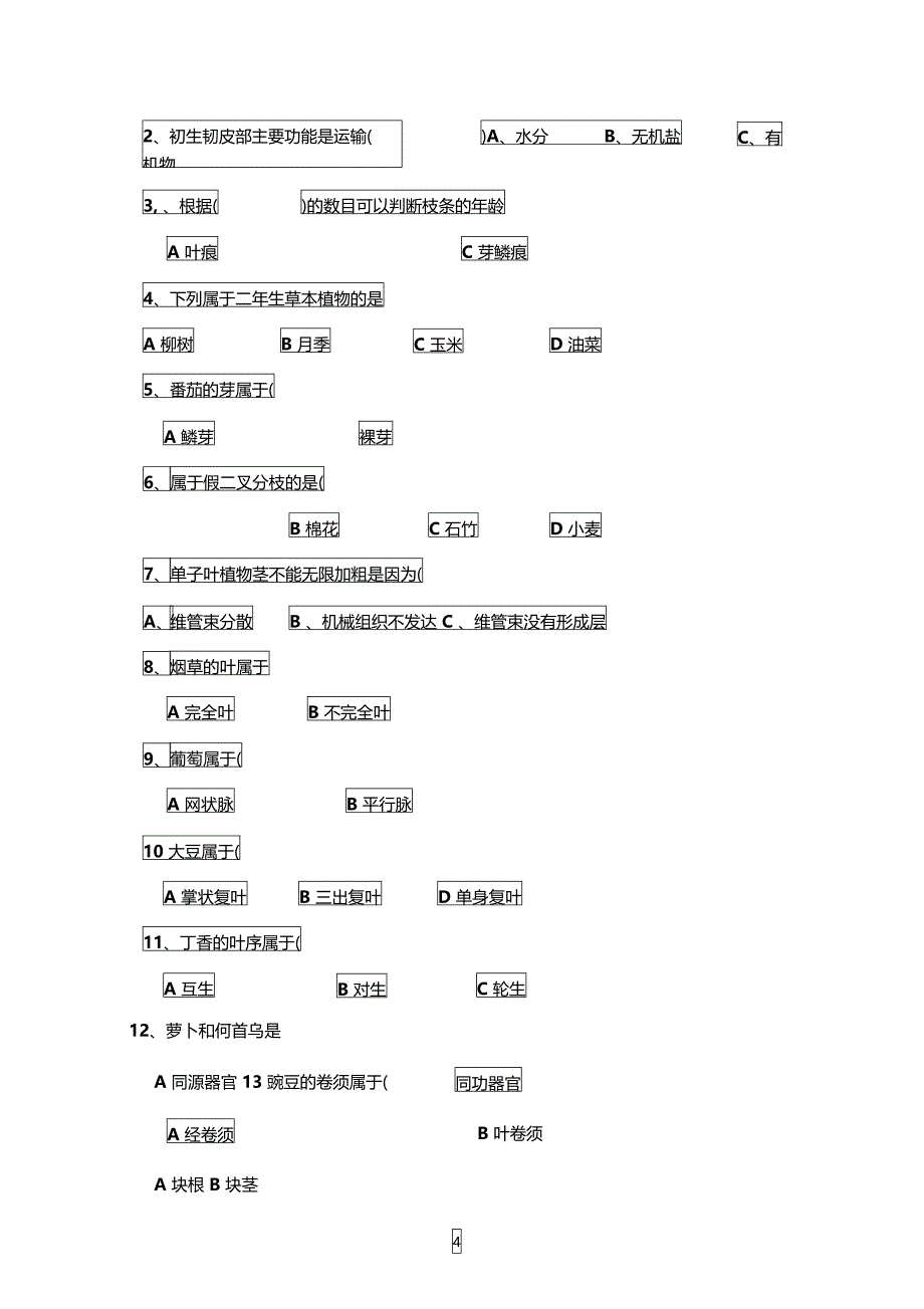 植物的营养器官练习_第4页