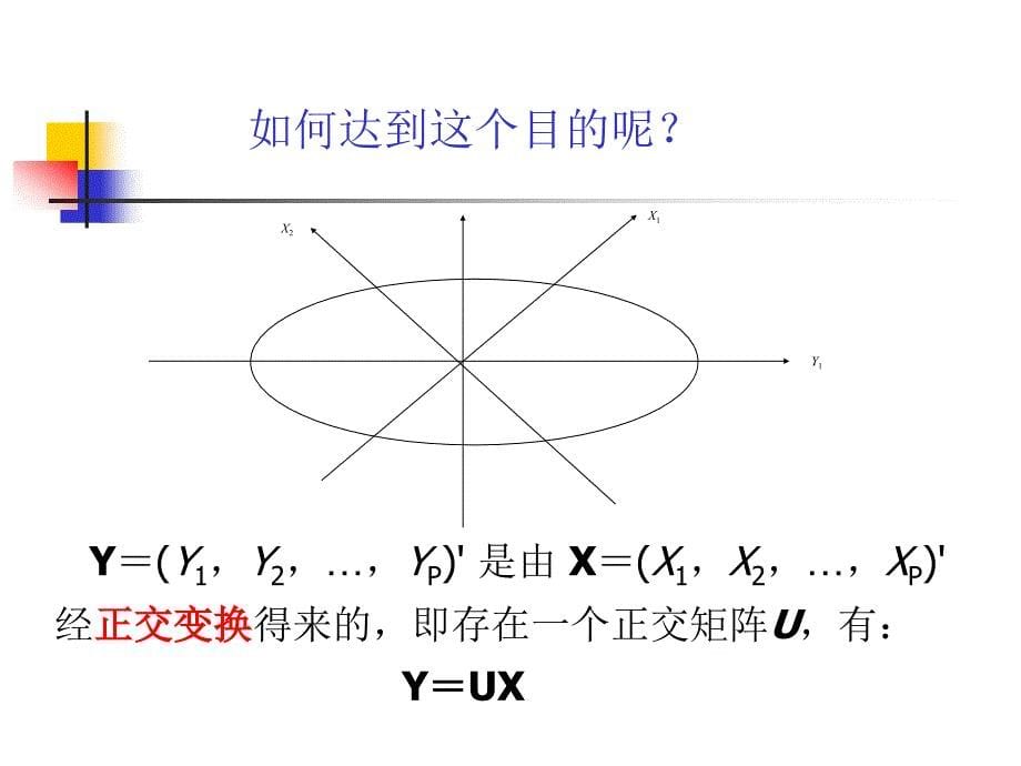 同济医学院医学多元统计课件主成份因子分析_第5页