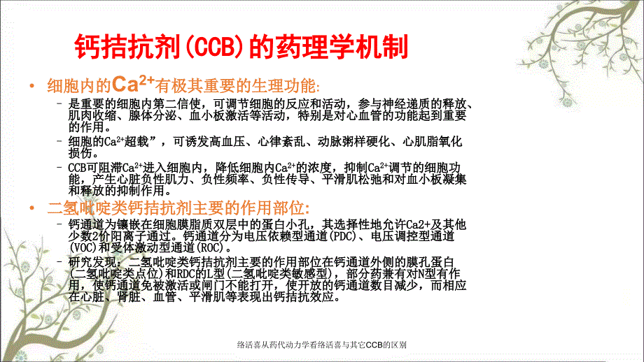 络活喜从药代动力学看络活喜与其它CCB的区别课件_第4页