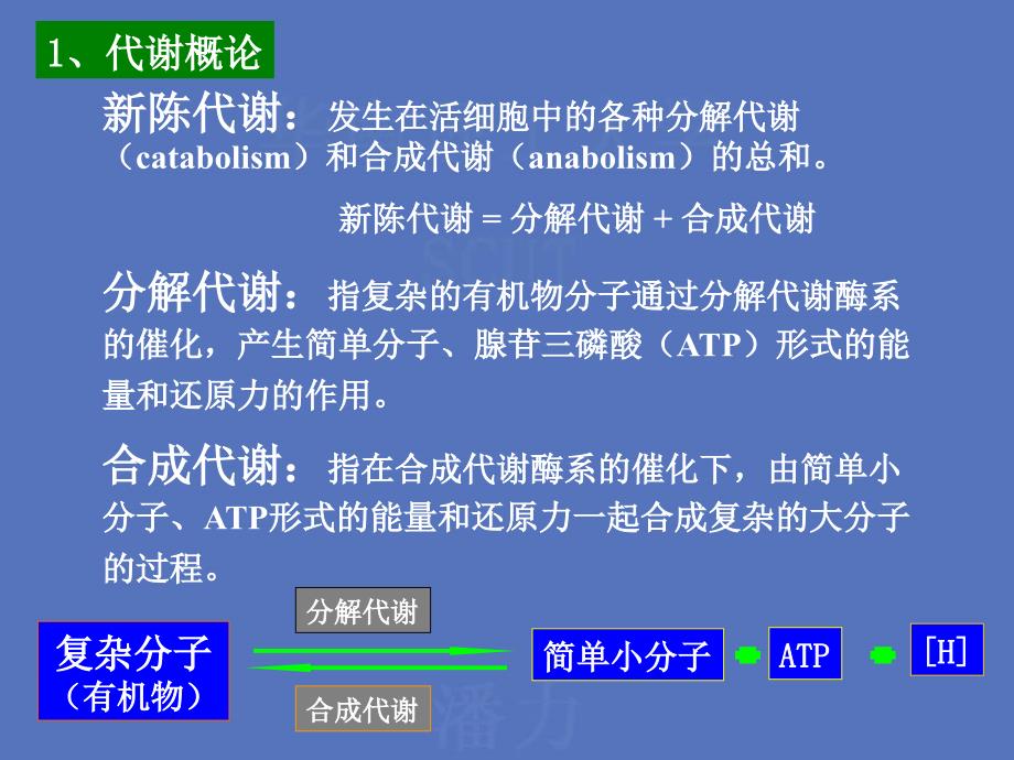 第五微生物代谢与调控_第2页