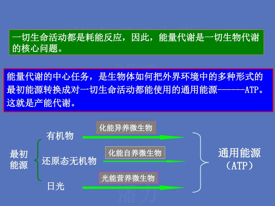 第五微生物代谢与调控_第4页