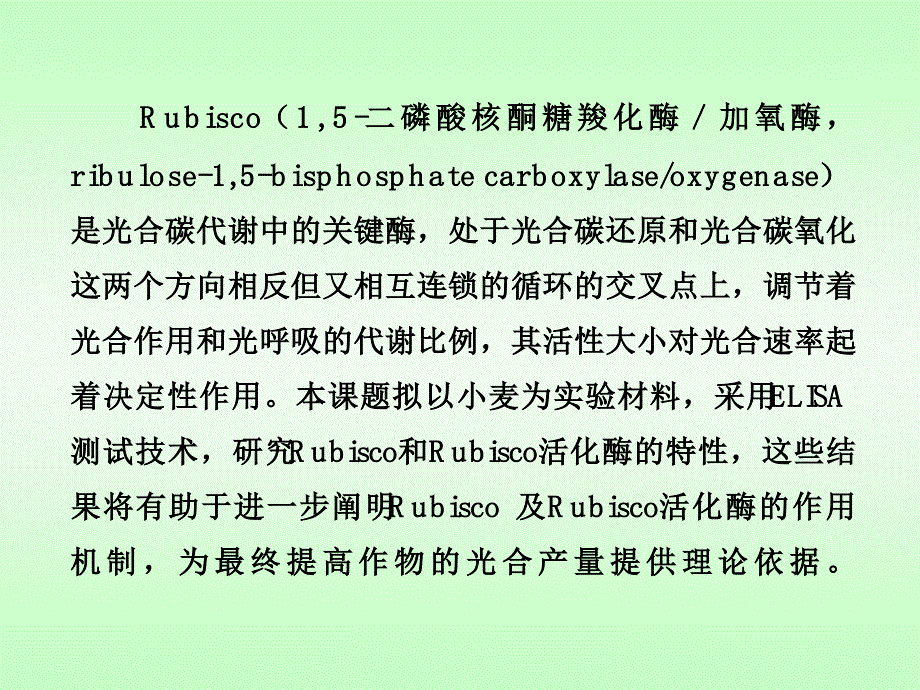 研究Rubisco和Rubisco活化酶的特性课件_第3页