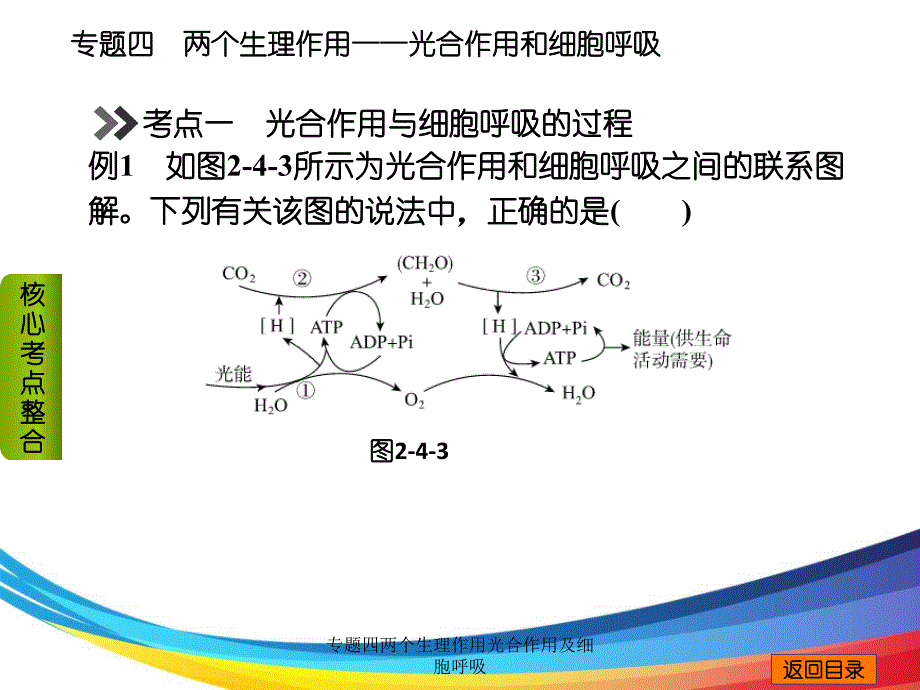 专题四两个生理作用光合作用及细胞呼吸_第4页