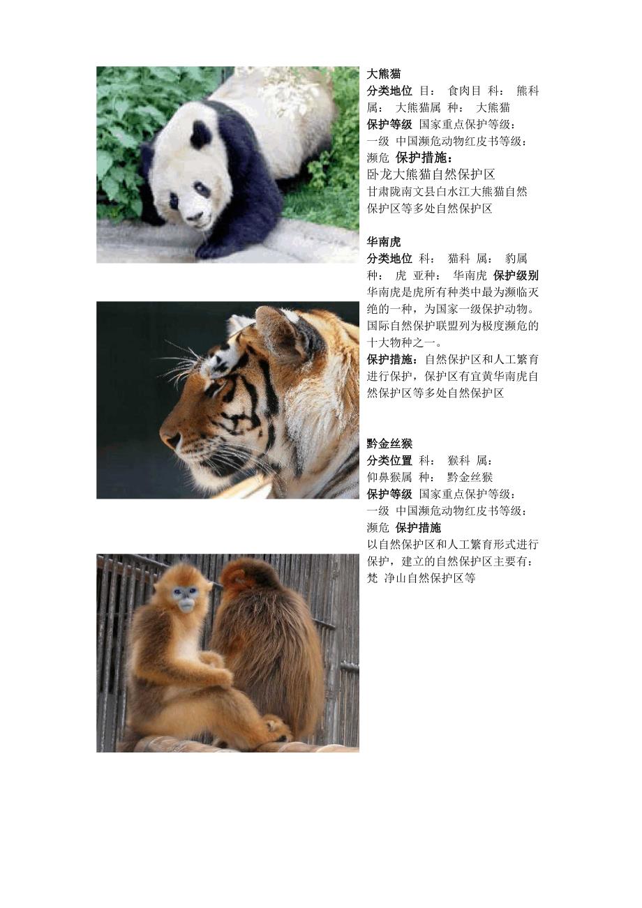 国家保护动物介绍_第1页
