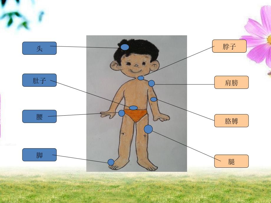 保护身体小秘密ppt课件.ppt_第4页