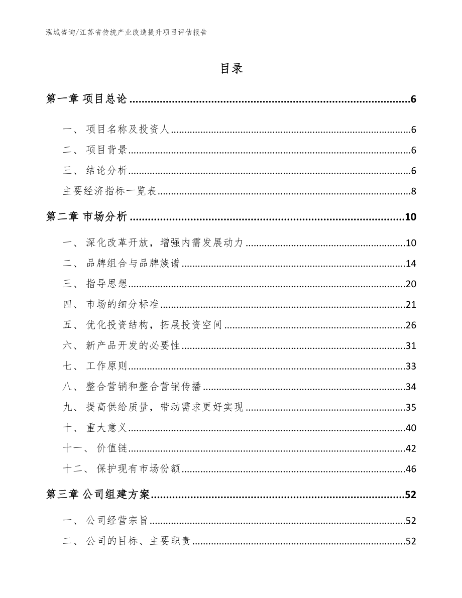 江苏省传统产业改造提升项目评估报告_范文参考_第1页