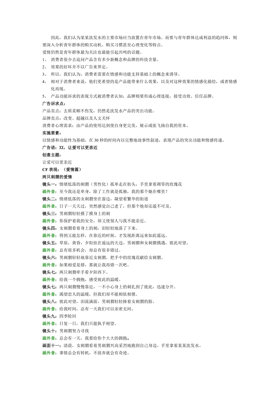 XX洗发水电视广告创意策划案_第2页