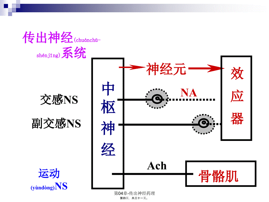 第04章传出神经药理课件_第4页