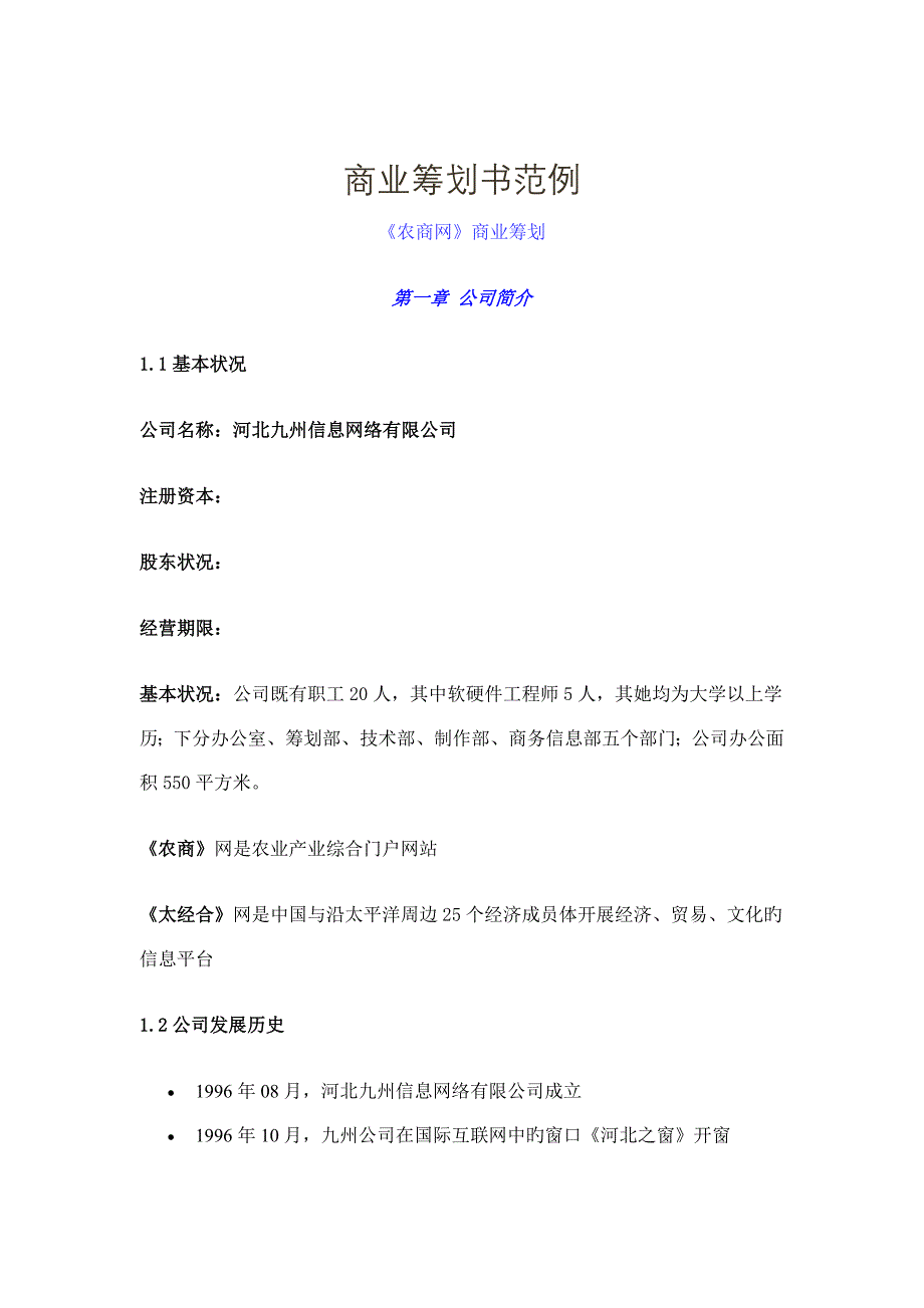 农商网商业综合计划书模板_第1页