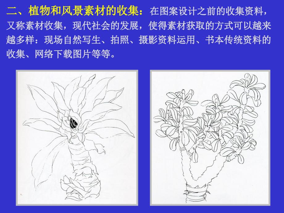 风景和植物图案设计ppt课件_第4页