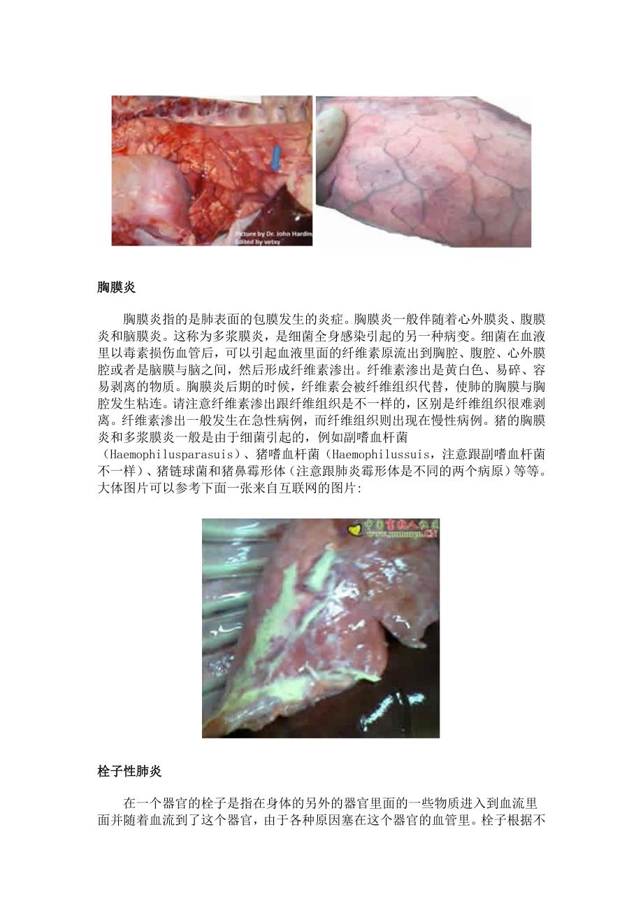 猪常见的肺部大体病变_第4页