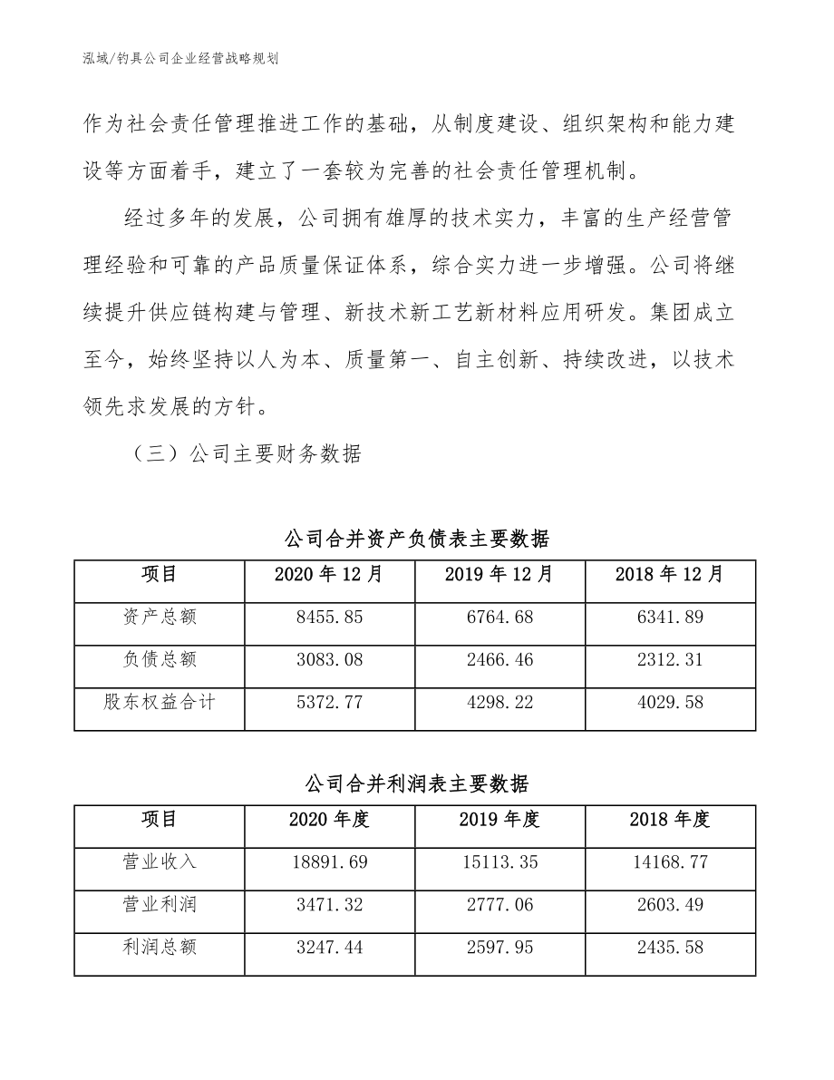 钓具公司企业经营战略规划（参考）_第4页