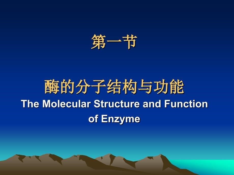 酶09级临床医学PPT课件_第5页