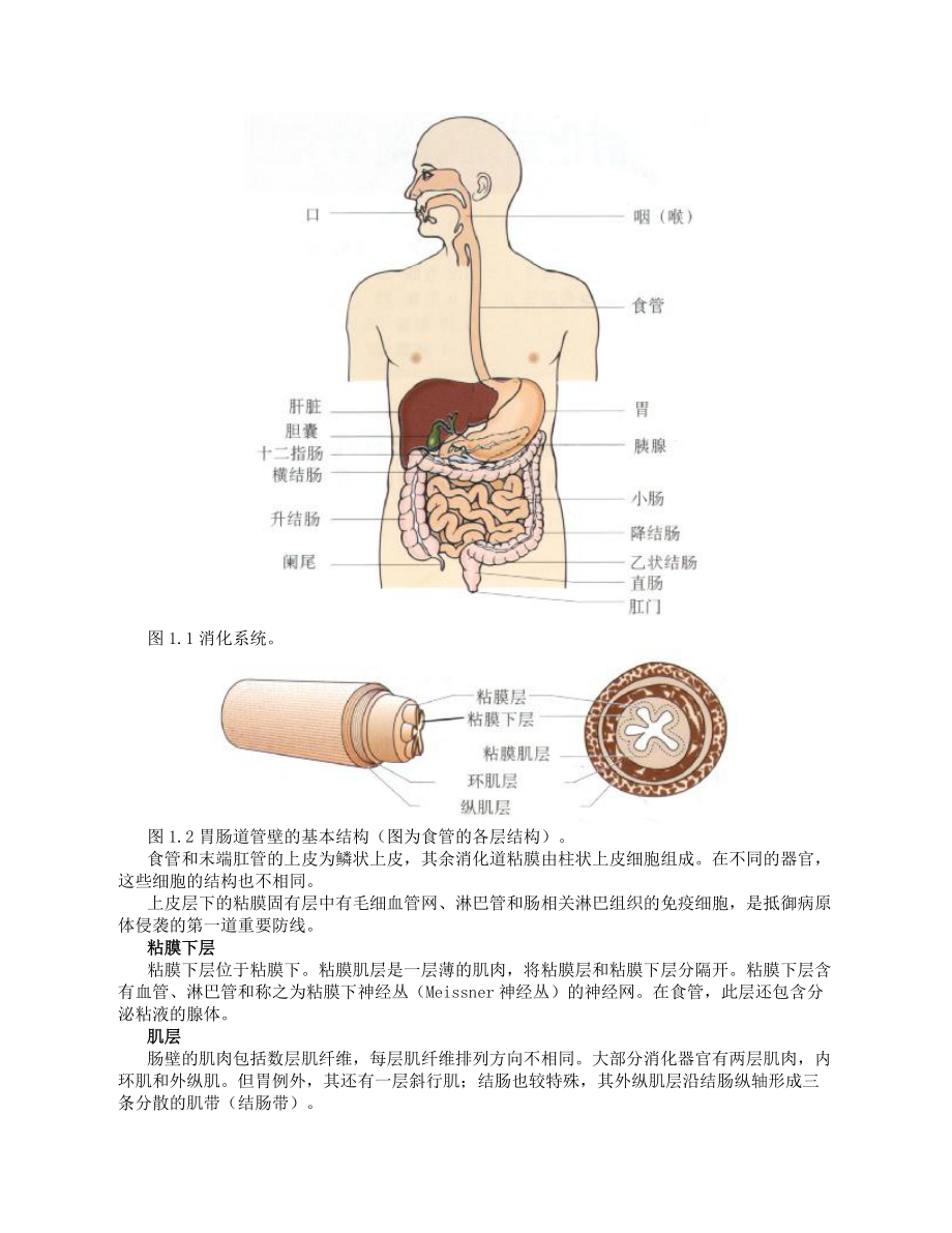 胃肠动力检查手册_第3页