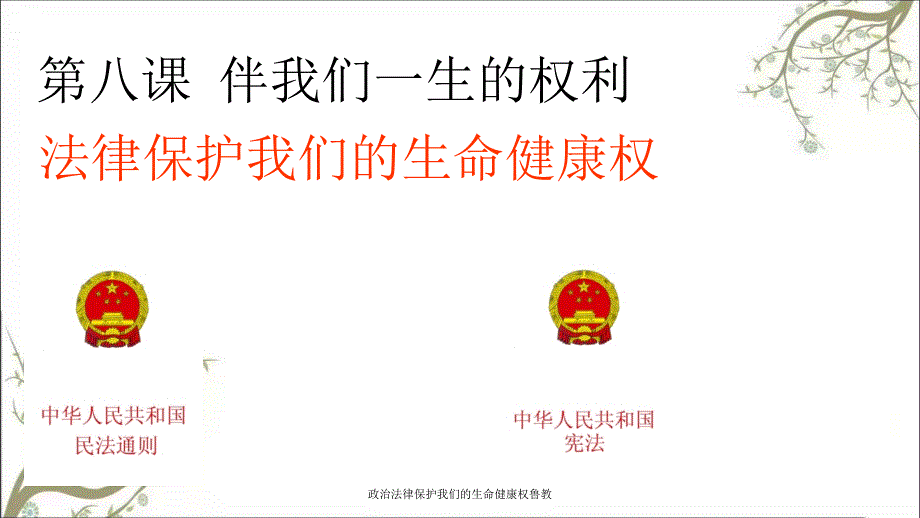 政治法律保护我们的生命健康权鲁教_第1页