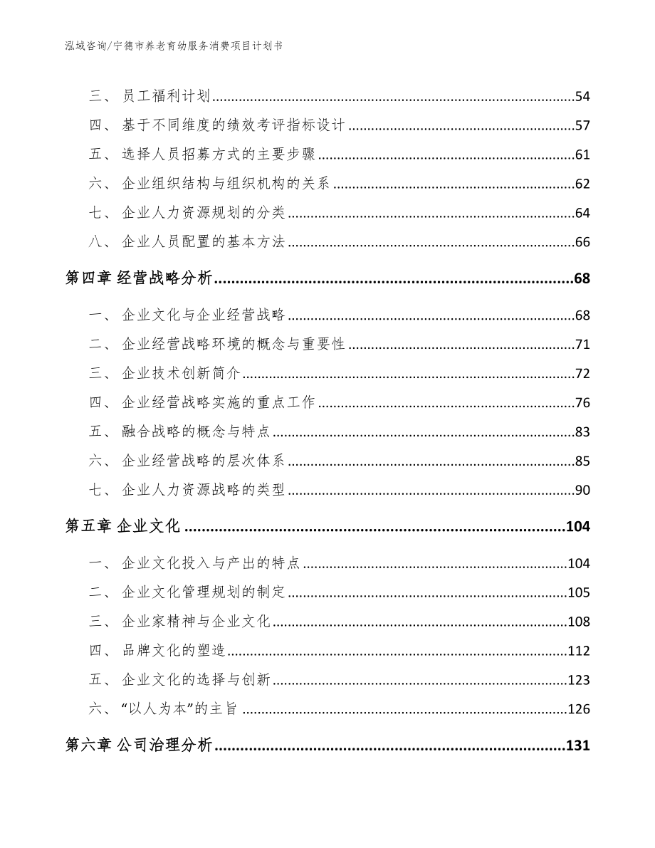 宁德市养老育幼服务消费项目计划书【范文参考】_第2页