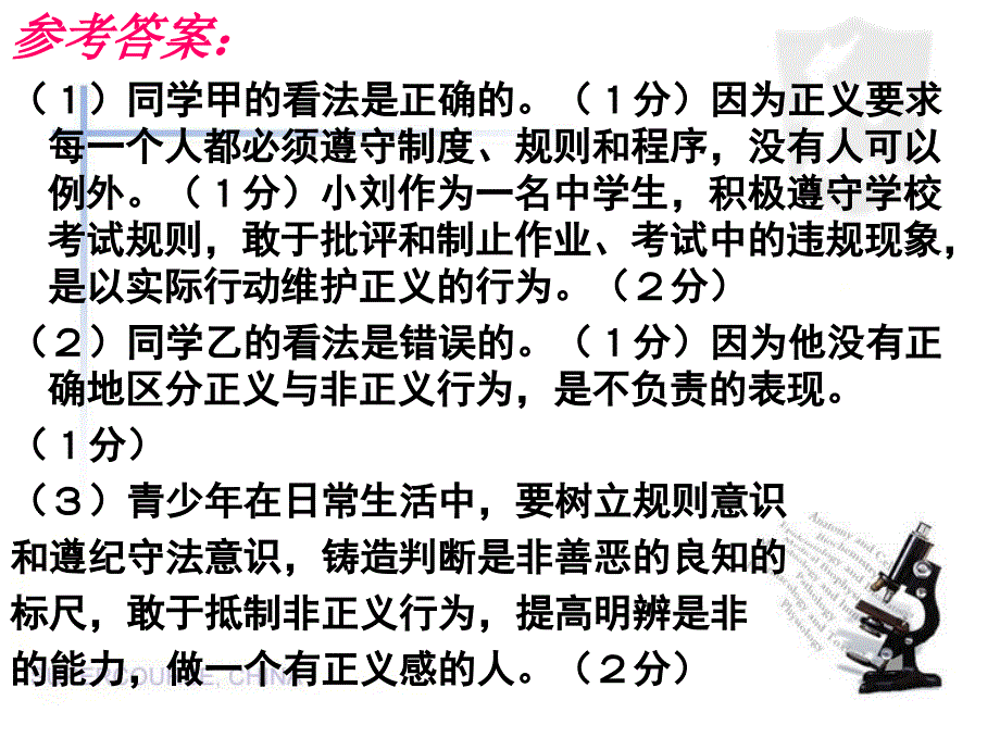 辨析题解题分析PPT-_第4页