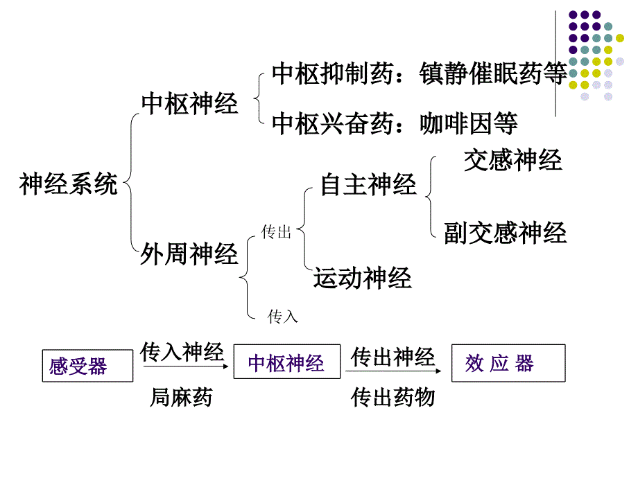 药理学：第五章药学_第3页