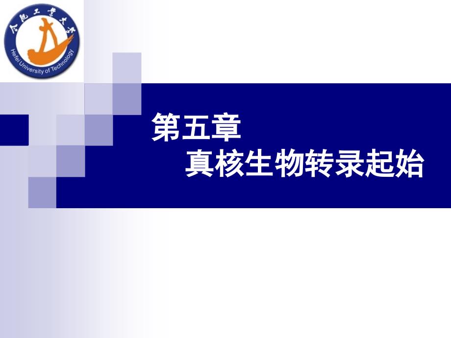 分子生物学第五章_第1页