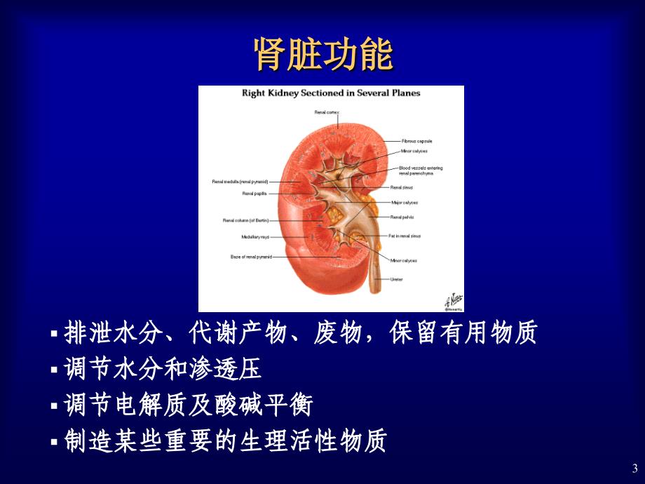 肾脏疾病的实验室检查_第3页