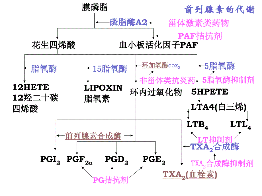 药理学第十八章_第4页