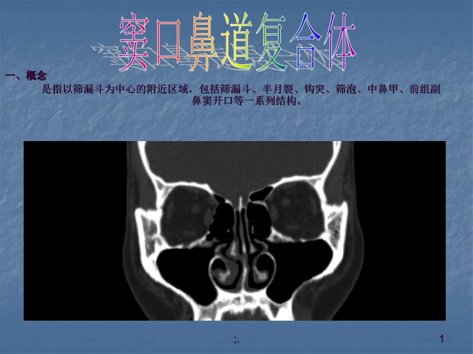 窦口鼻道复合体ppt课件_第1页