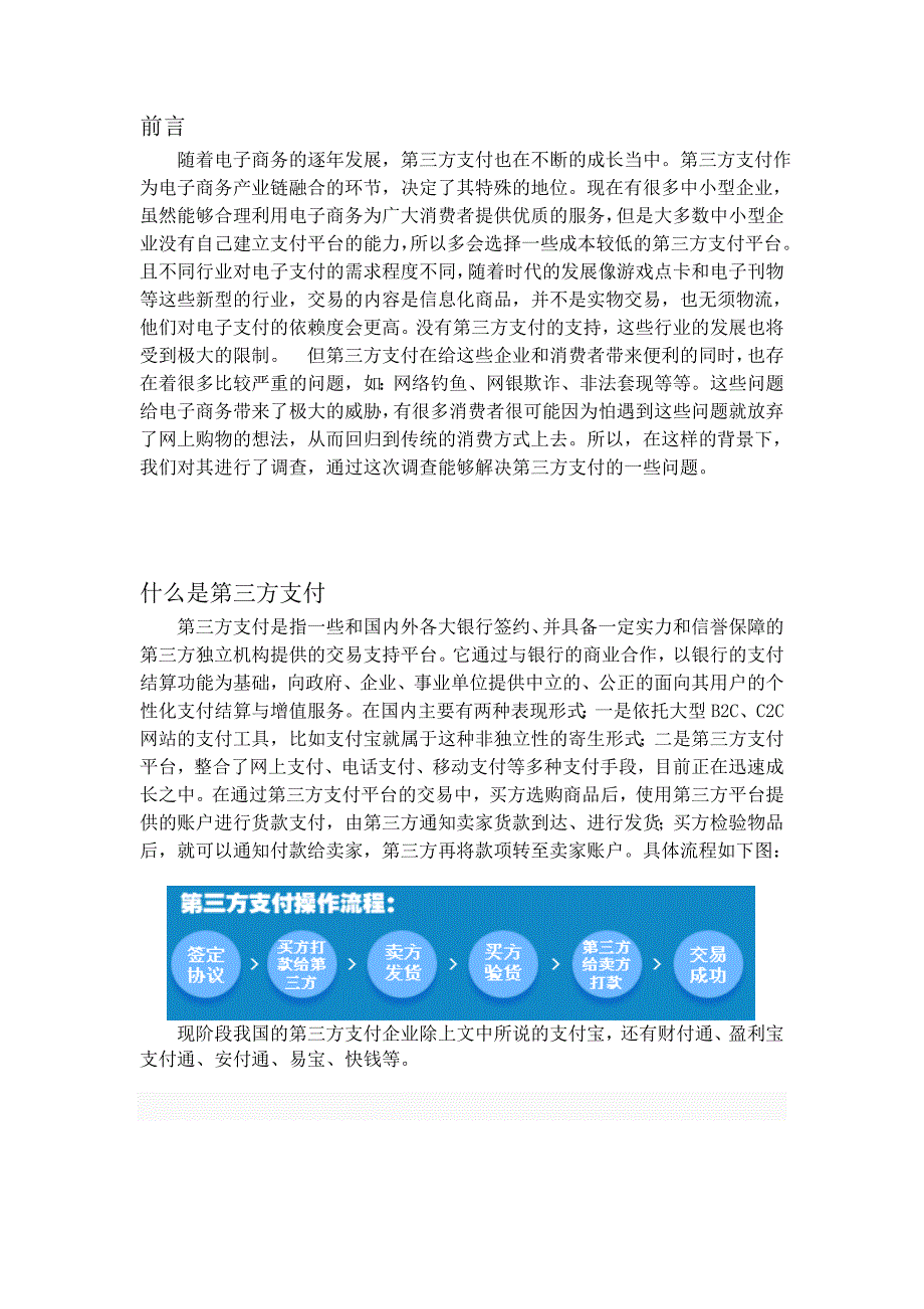 第三方支付调研报告_第4页