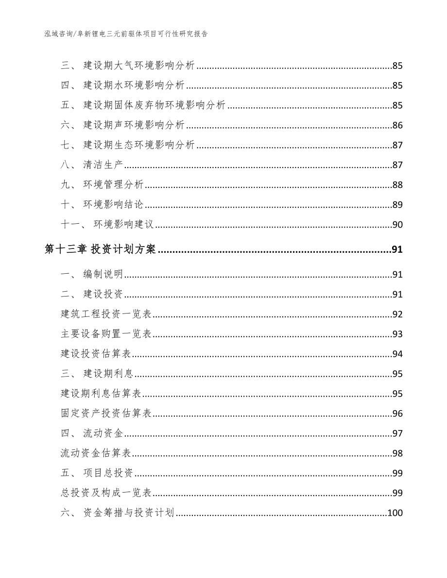 阜新锂电三元前驱体项目可行性研究报告【范文参考】_第5页