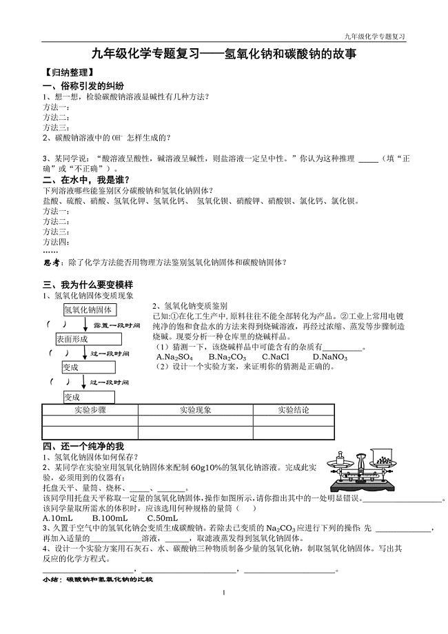 九年级化学专题复习——氢氧化钠和碳酸钠的故事.doc