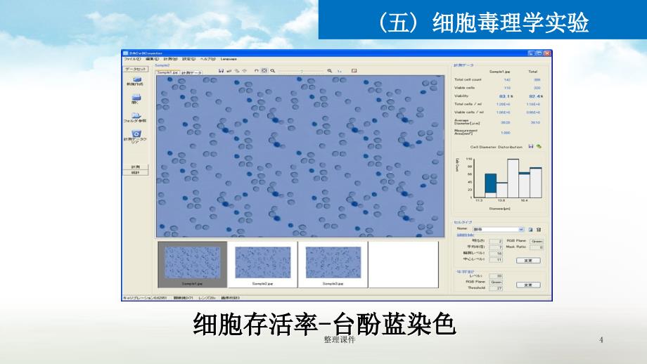 细胞毒理学实验1_第4页