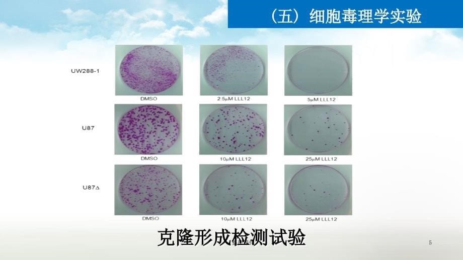 细胞毒理学实验1_第5页