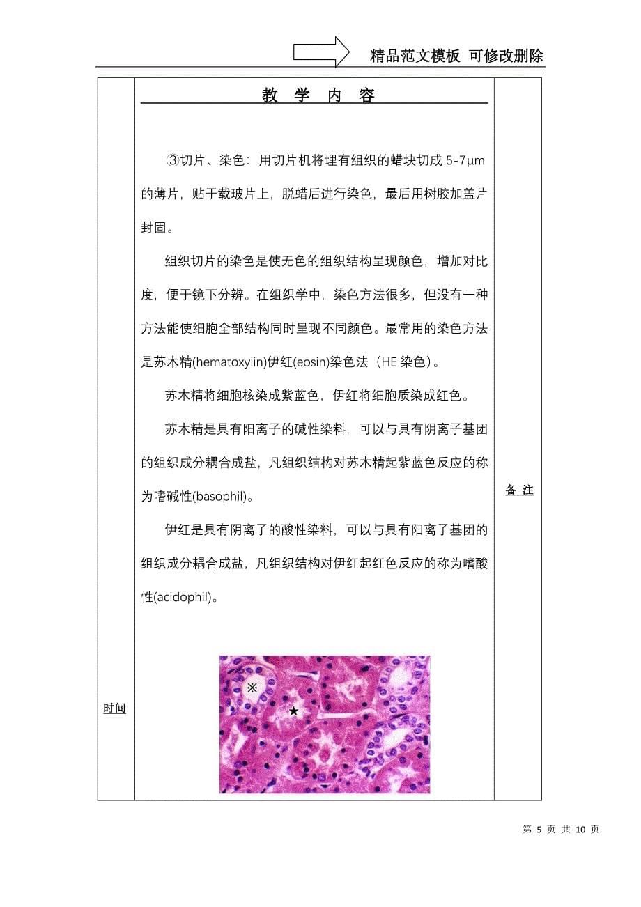 教案-组织学与胚胎学精品课程_第5页