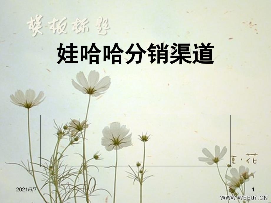 娃哈哈分销渠道PPT课件_第1页