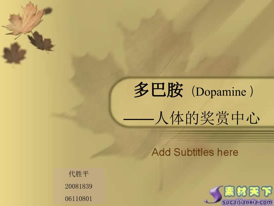 多巴胺(Dopamine )_第1页