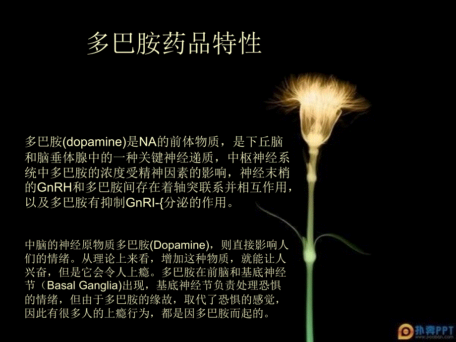 多巴胺(Dopamine )_第4页