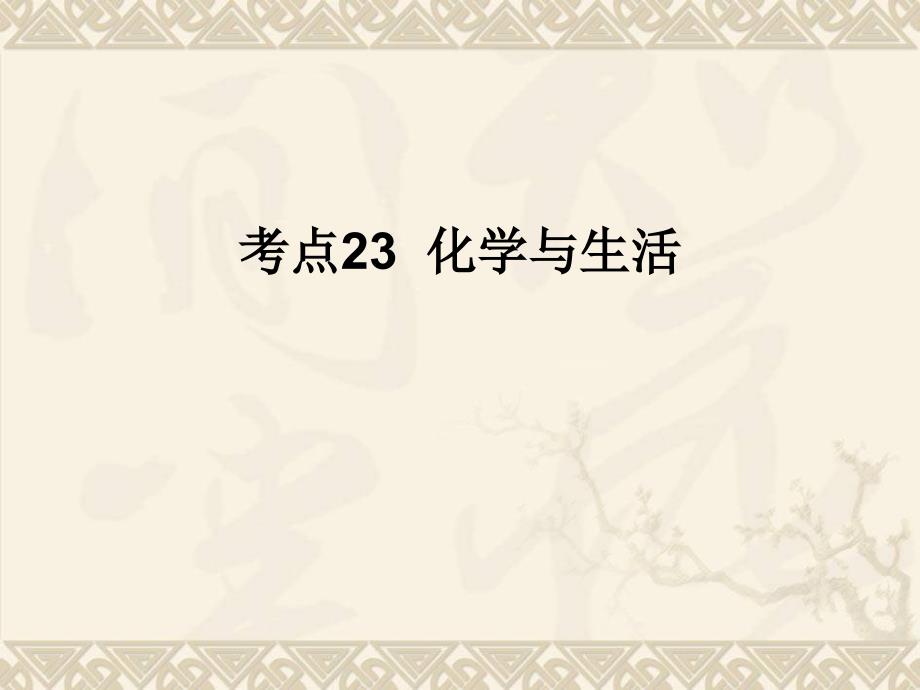 考点23化学与生活_第1页