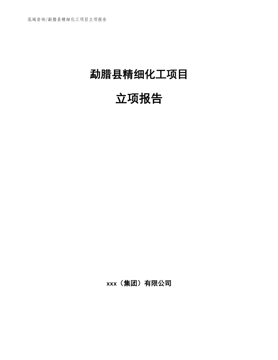 勐腊县精细化工项目立项报告_第1页