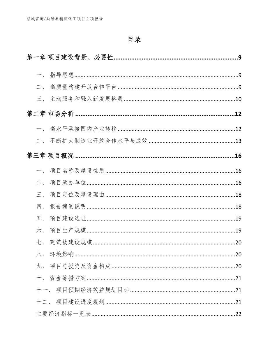 勐腊县精细化工项目立项报告_第2页