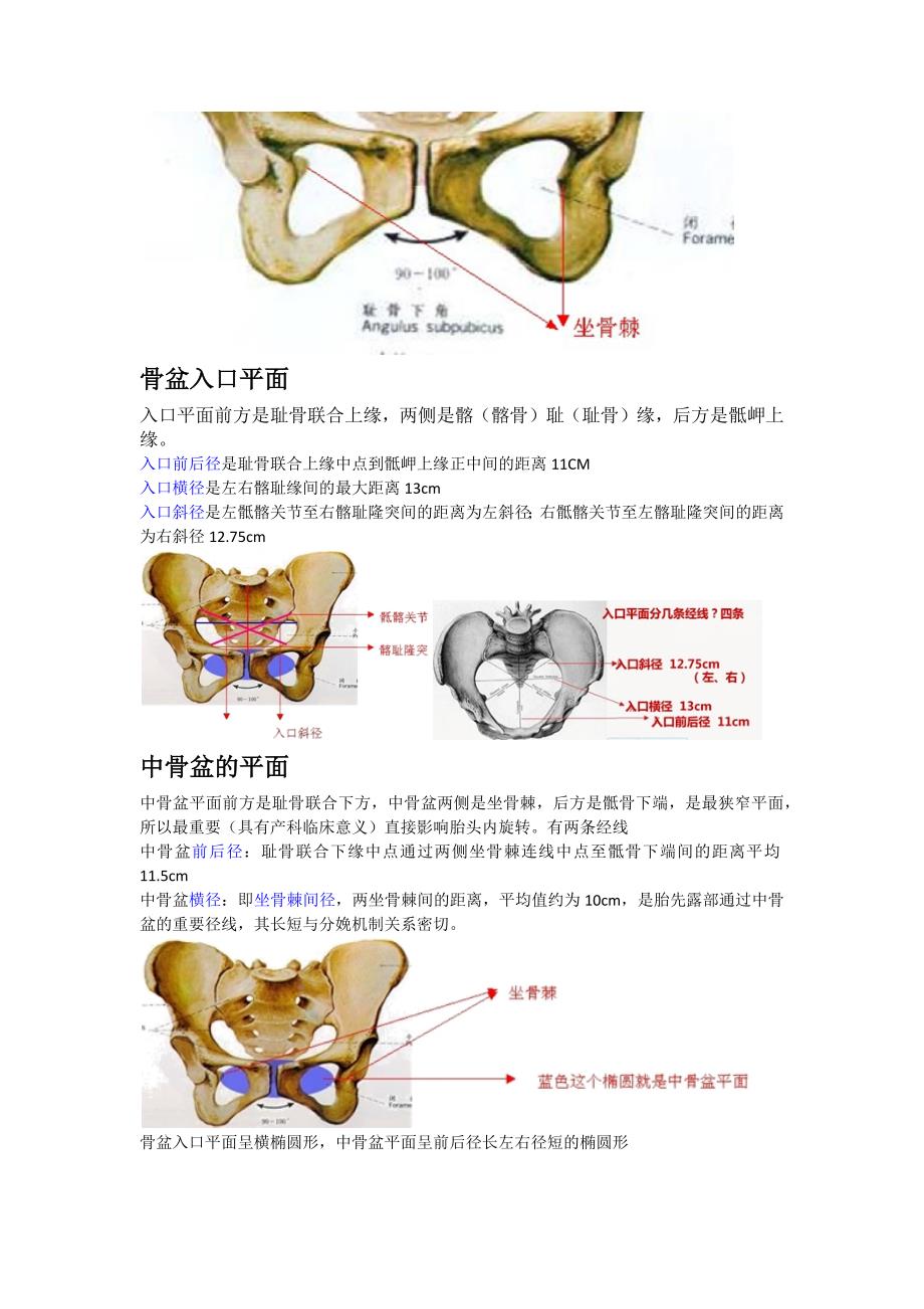 骨盆测量及记忆口诀_第4页