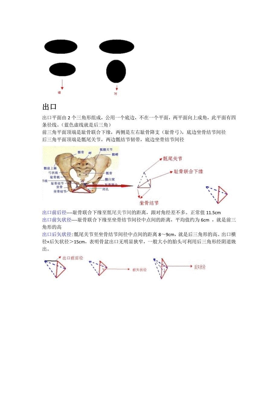 骨盆测量及记忆口诀_第5页